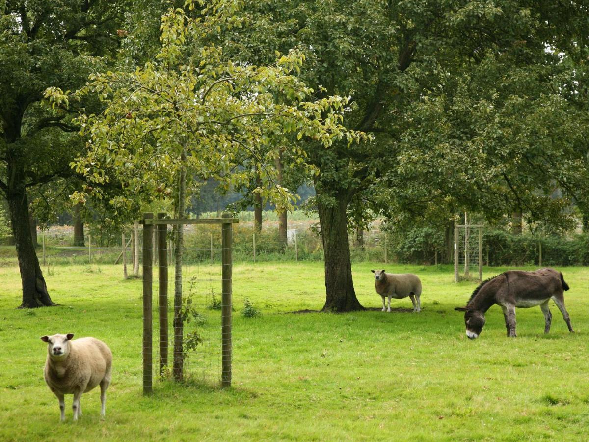 Beautiful Farmhouse In Beernem With Big Garden Esterno foto